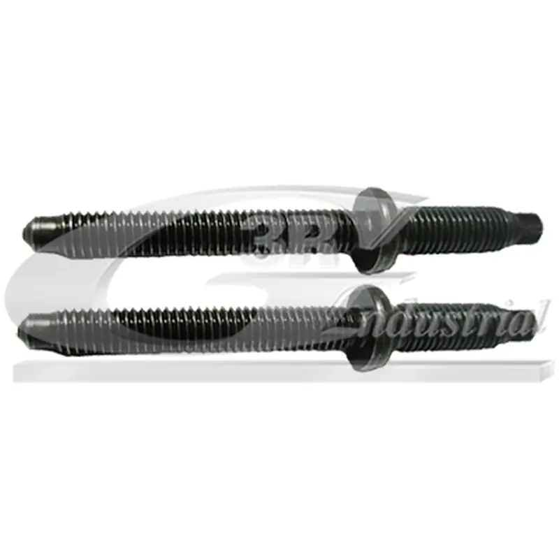 Kit Tornillos Inyector (2Pcs) 3RG Ref. 83295