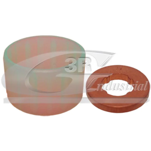Kit Inyectores (2Pcs) 3RG Ref. 81246