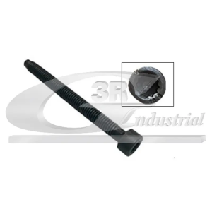 Tornillo Inyector (65Mm.) 3RG Ref. 99701